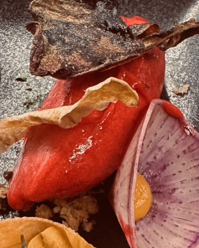 0D78EBEF-62AE-4528-80C4-90F0F1559A7C_1_105_c